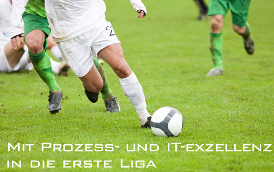 17. Aachener ERP-Tage 2010